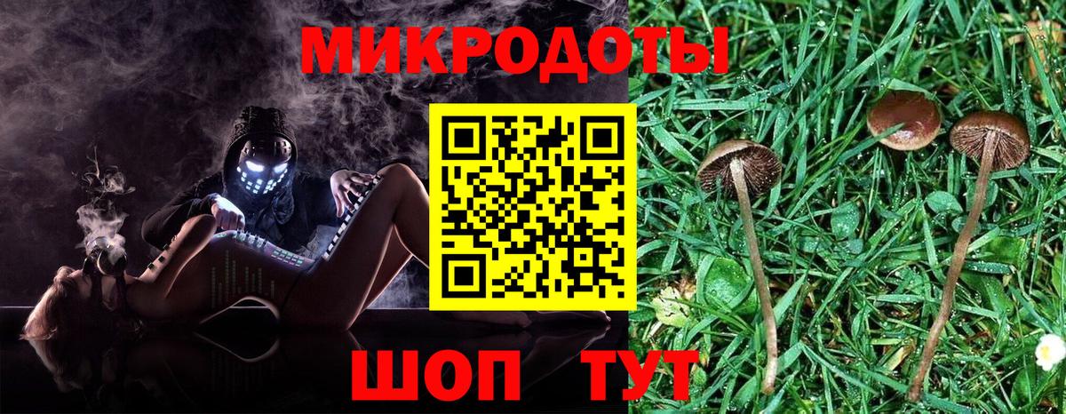 Псилоцибиновые грибы Psilocybine cubensis Шахты