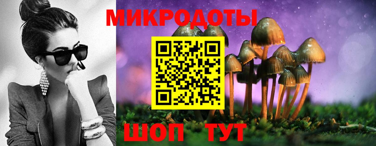 Псилоцибиновые грибы GOLDEN TEACHER  Вход с VPN  Шахты  Галлюциногенные грибы мухоморы 
